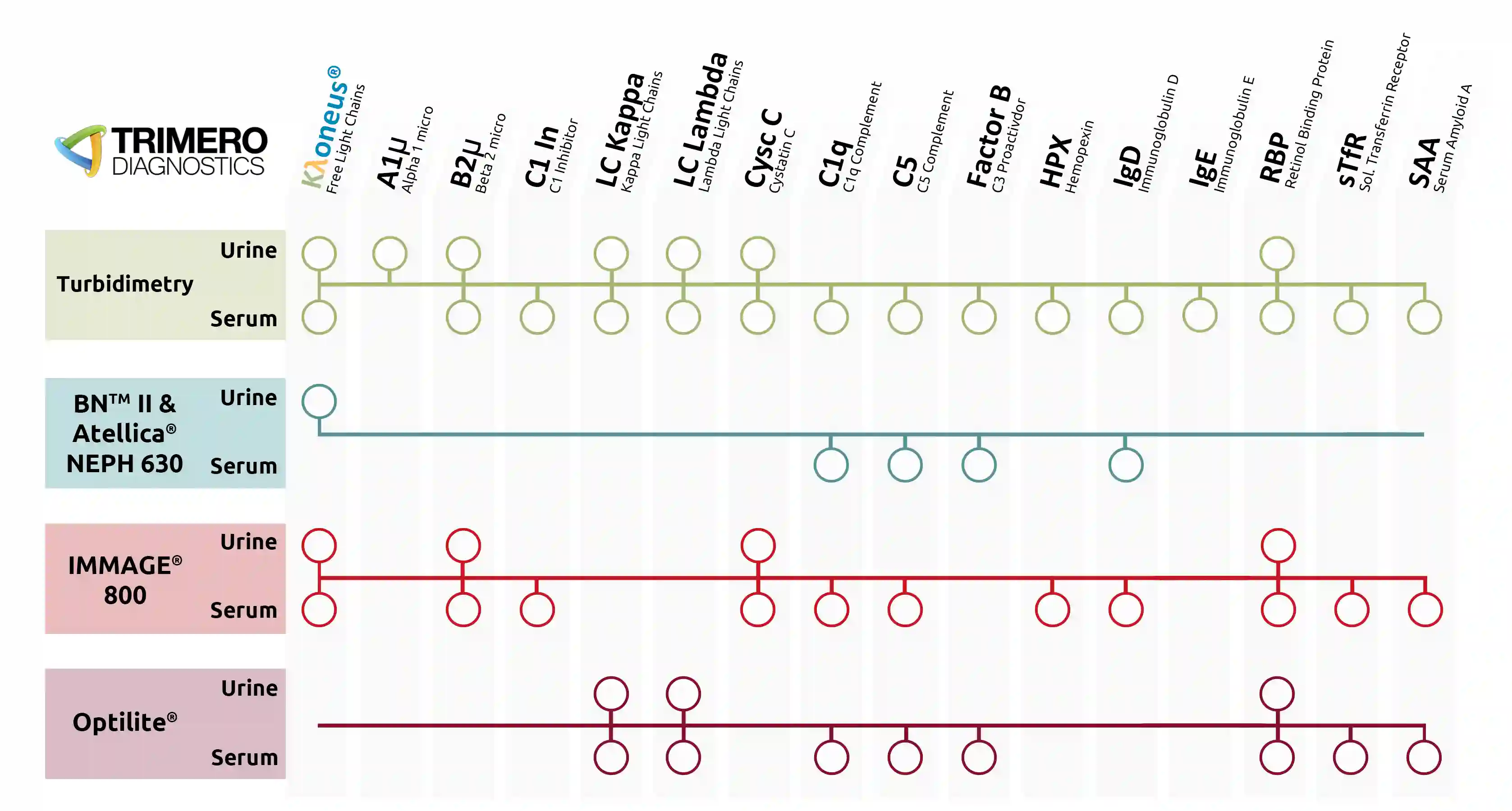 Matriz de disponibilidad de productos Trimero Diagnostics: cada proteína (Kλoneus/Free Light Chains, Alfa-1 Microglobulina, Beta-2 Microglobulina, C1 Inhibidor, Cadenas Ligeras Kappa y Lambda, Cistatina C, C1q, C5, Factor B, Hemopexina, IgD, IgE, RBP, sTfR, SAA) por plataforma (Turbidimetría, BN II y Atellica NEPH 630, IMMAGE 800, Optilite) en suero y orina